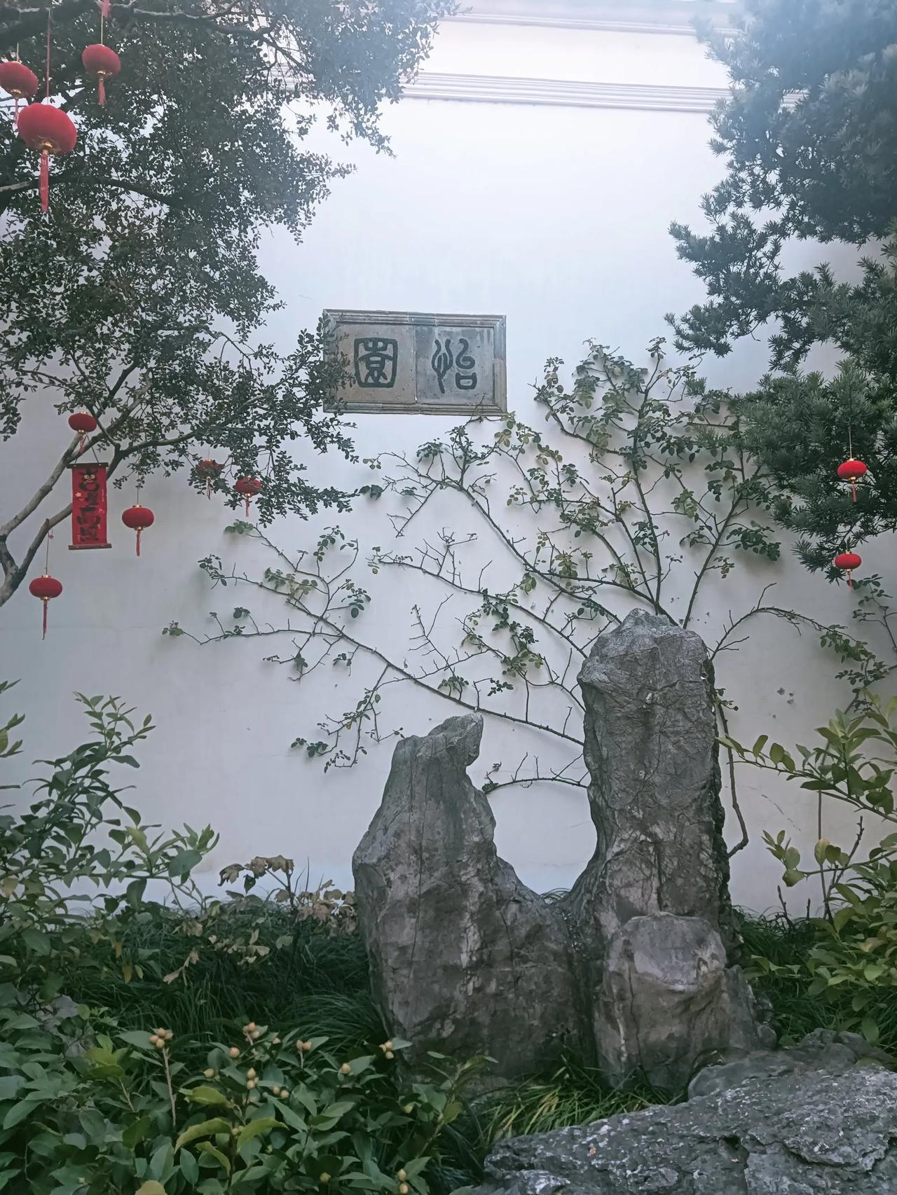 花儿让苏州怡园更加怡人了......