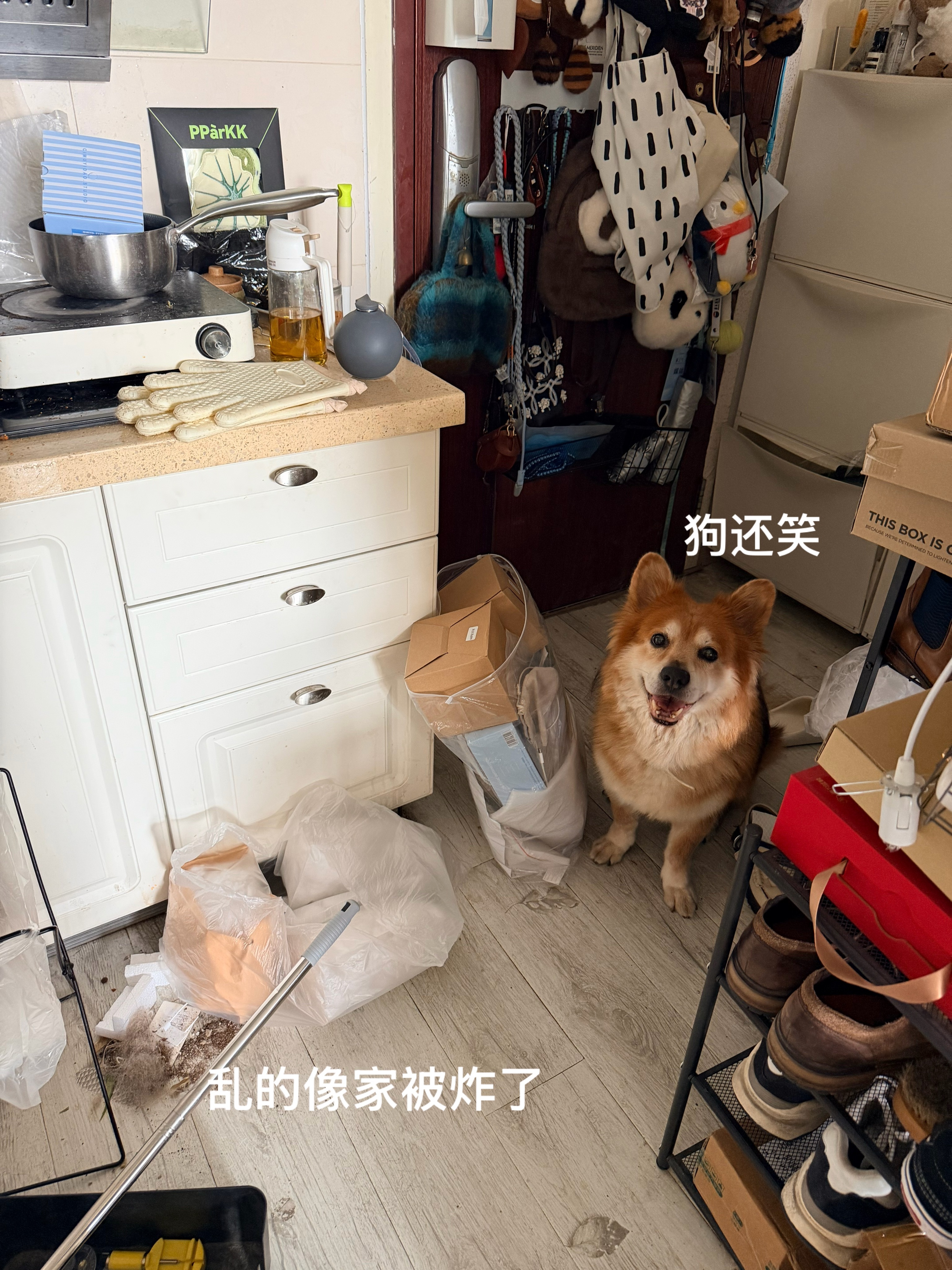 周末 宜整理打扫拆快递 