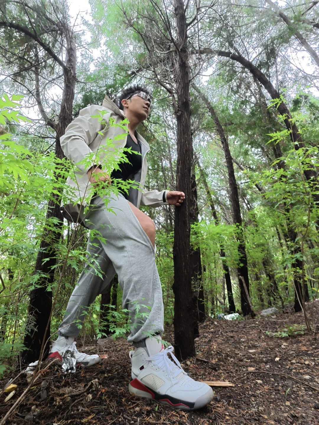 中秋快乐｜绿野仙踪