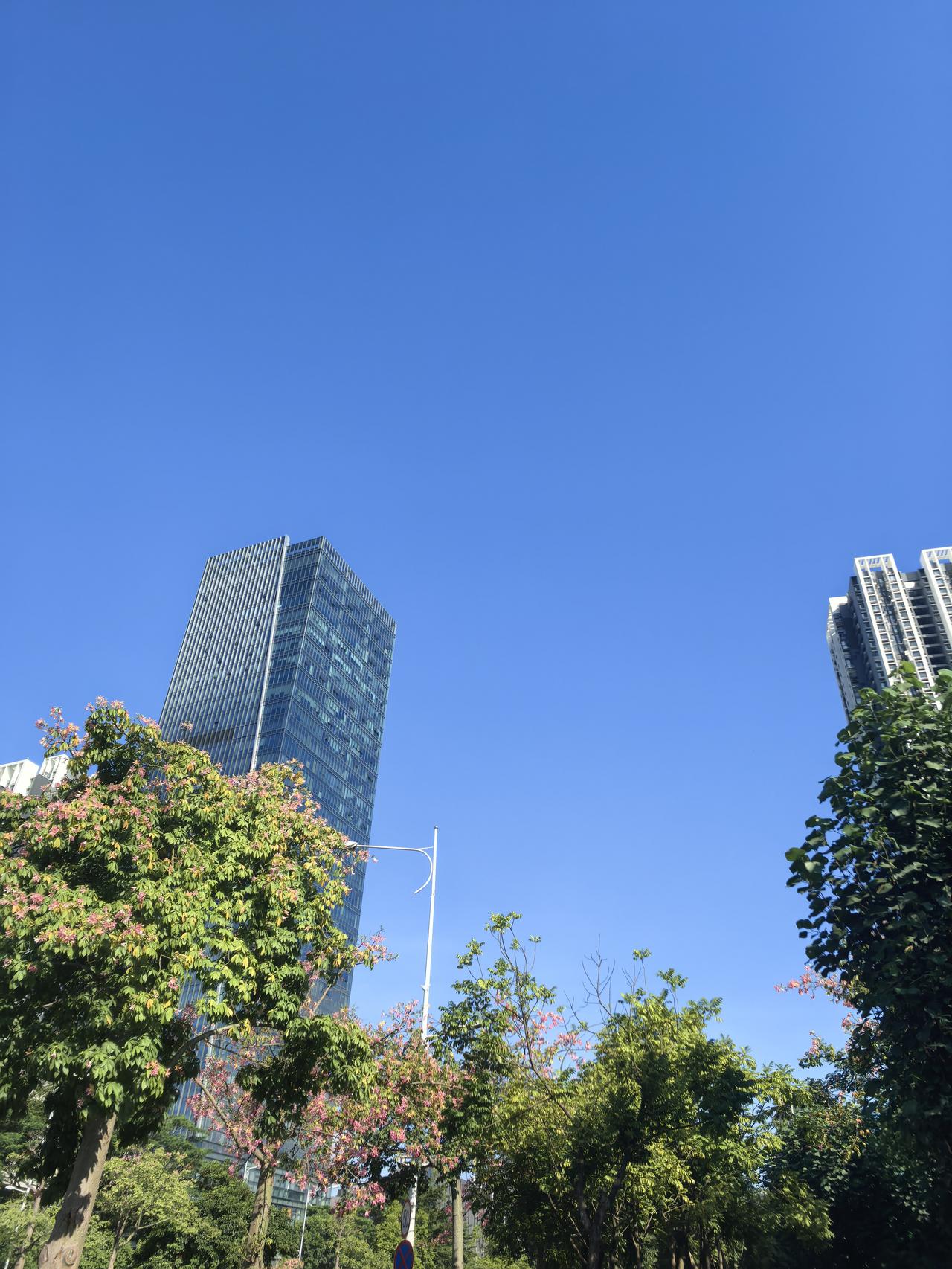 可以分享一张你拍的天空美照吗这几天，深圳天朗气清，天出奇地蓝。