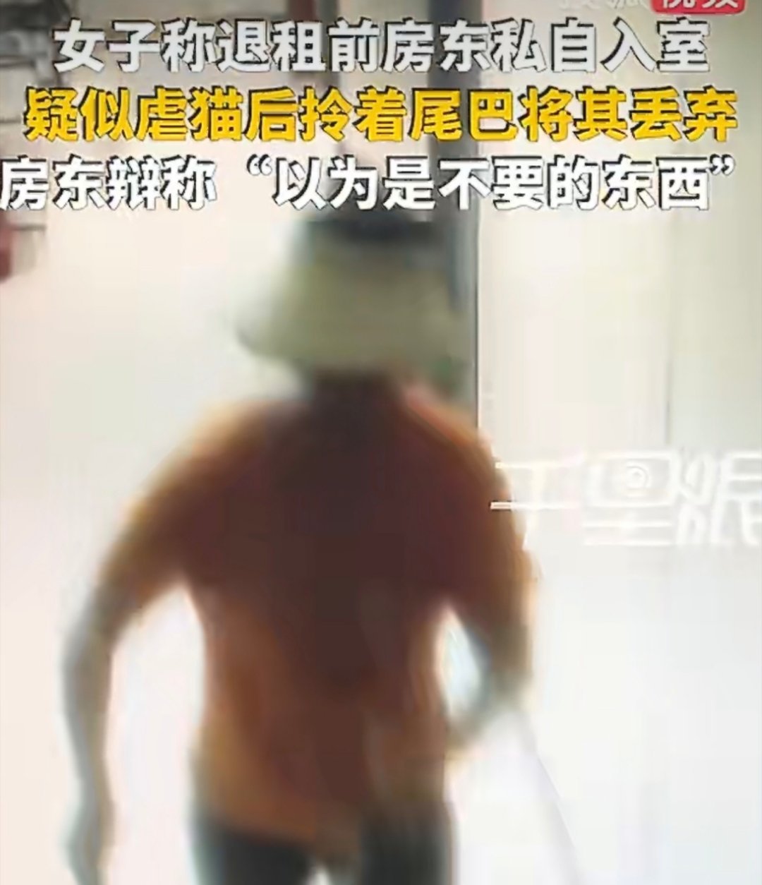 女子尚未退租房东入室捉猫扔垃圾桶这小猫都无力挣扎了……到底对这只猫做了啥啊！还没
