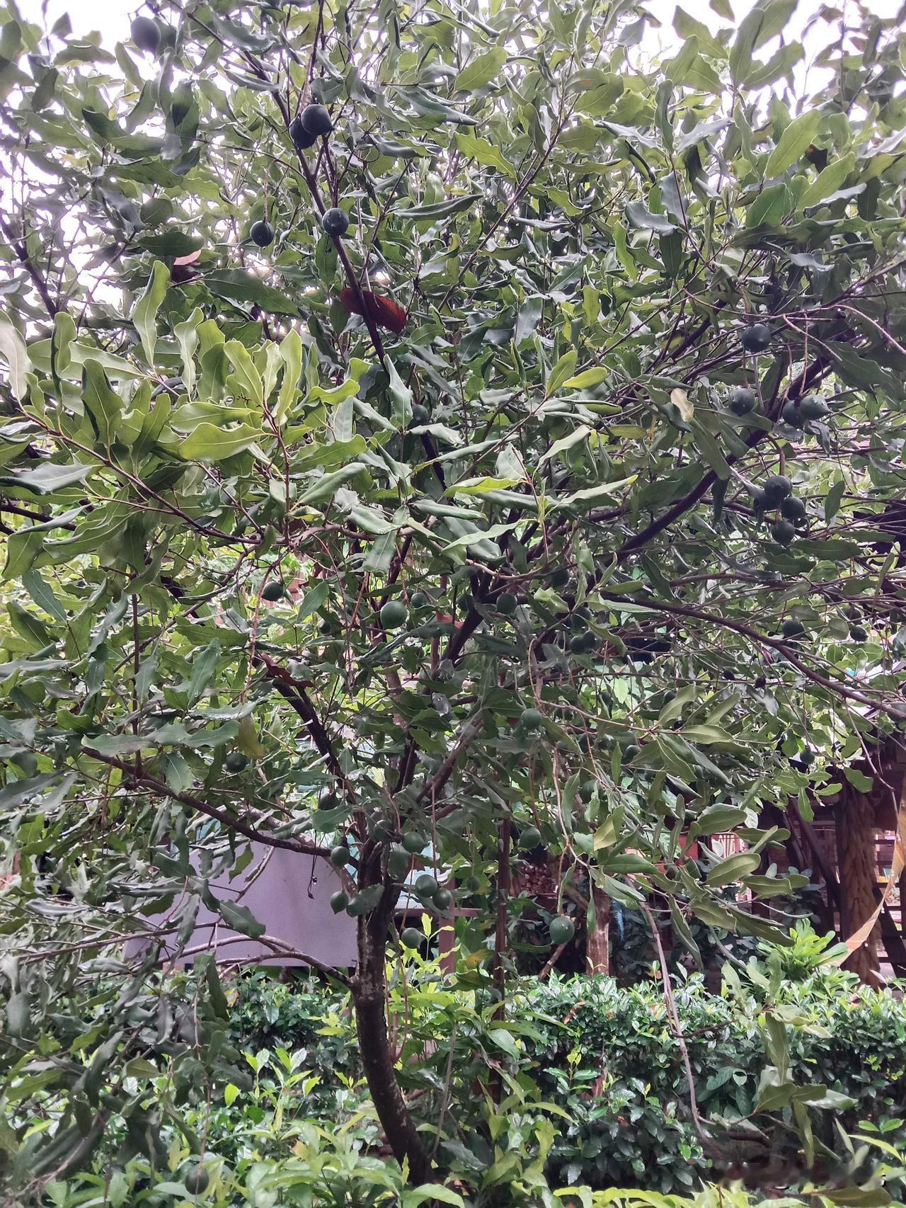 当C罗第六次踏上世界杯的草地，很多人感叹“青春结束了”。我却觉得，这恰恰是中年人
