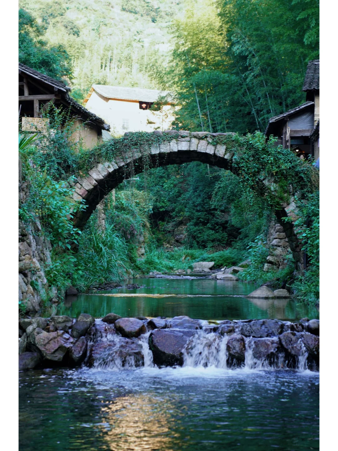 松阳丨拥抱山野 享受风的自由
