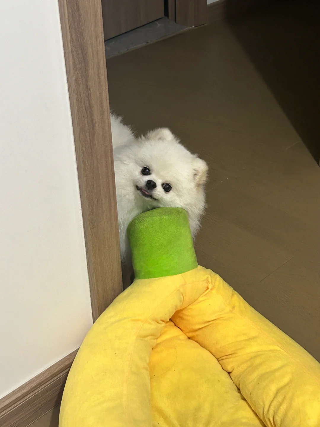 我要离家出走喽