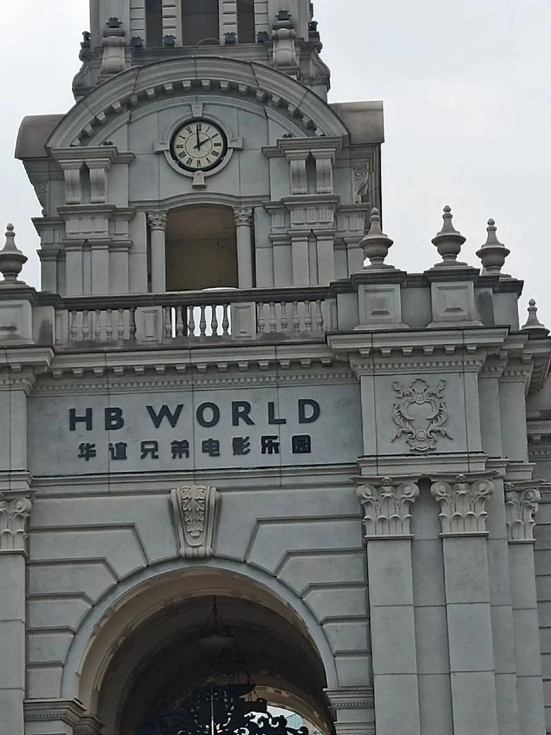 华谊兄弟电影公司及法定代表人王中磊新增限消令，涉执行标的599万元。叠加此前亏损