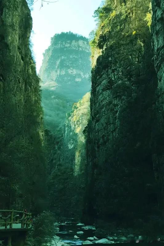 《鷓鸪天·秋意难避》
欲入深山避素秋，秋踪却逐履痕留。残英败叶风中泣，冷雾寒云眼