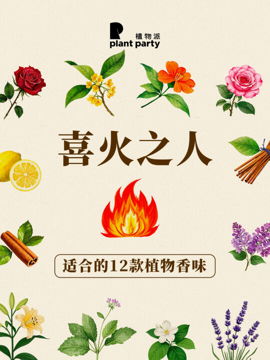 香味玄学 !!喜火小伙伴看过来!!