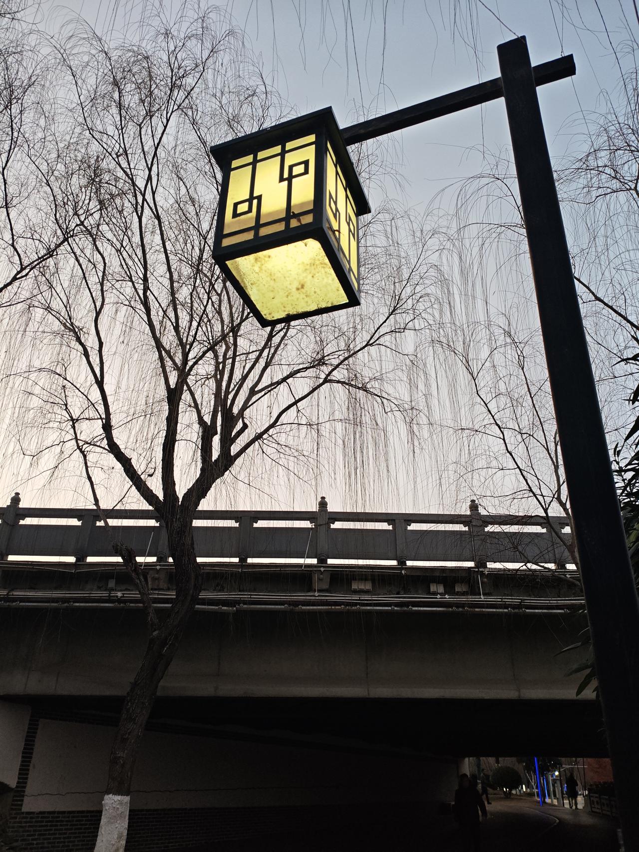 记录我的2026晚饭后溜达，瞅见这盏路灯怪有味道的，黄澄澄的光把干树枝照得软乎乎