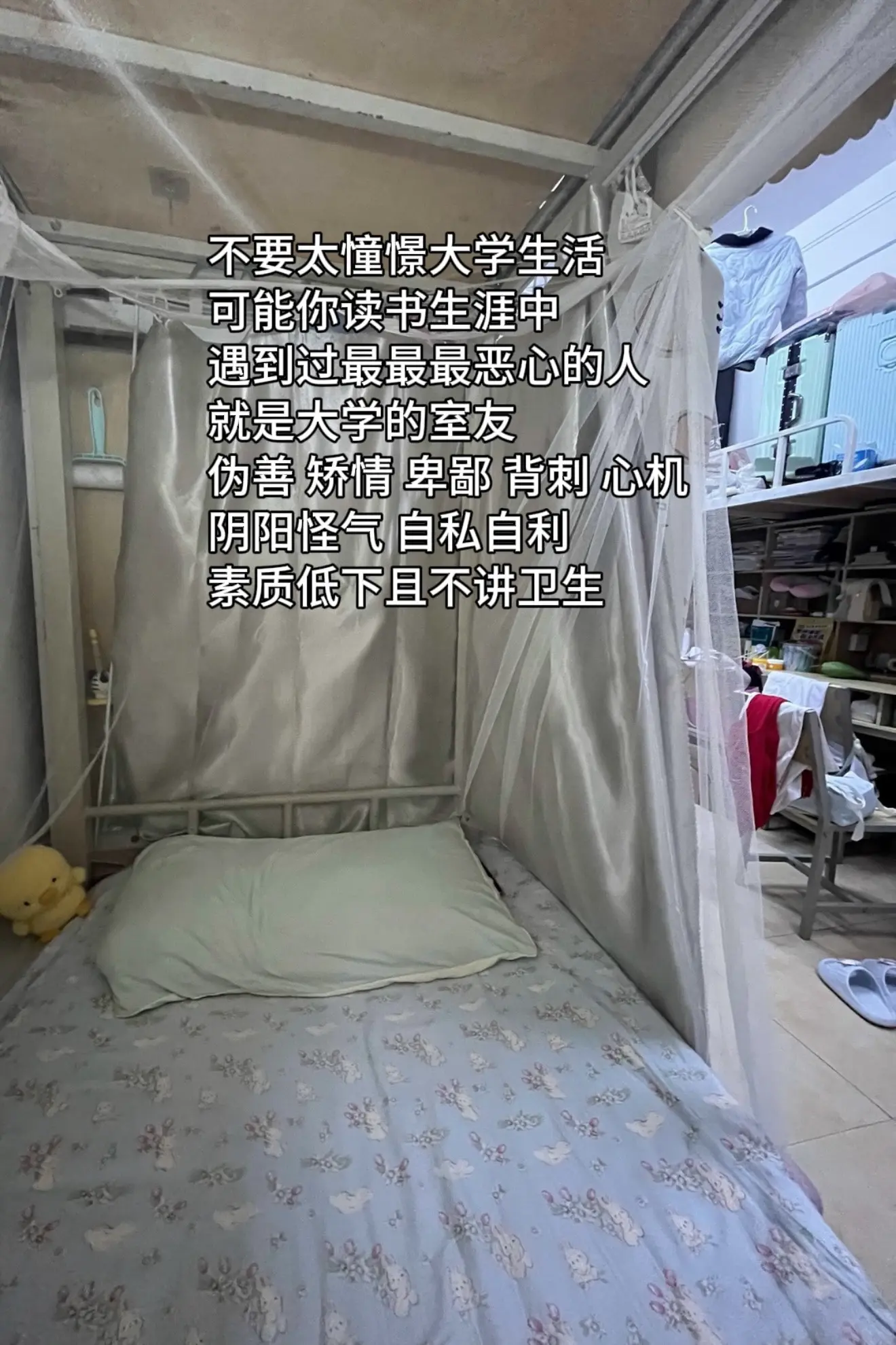 不要太憧憬你的大学生活。