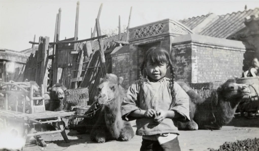北京后院里，一名女孩和骆驼以及载人车。1915年。