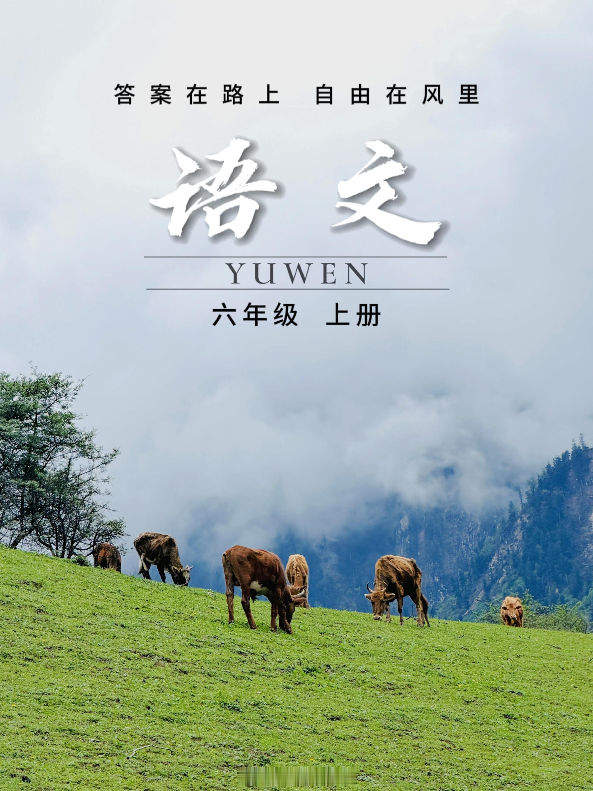 夏之光粉丝把照片P成课本封面夏之光这张图可以当教材封面梦回课堂时光！粉丝把夏之光