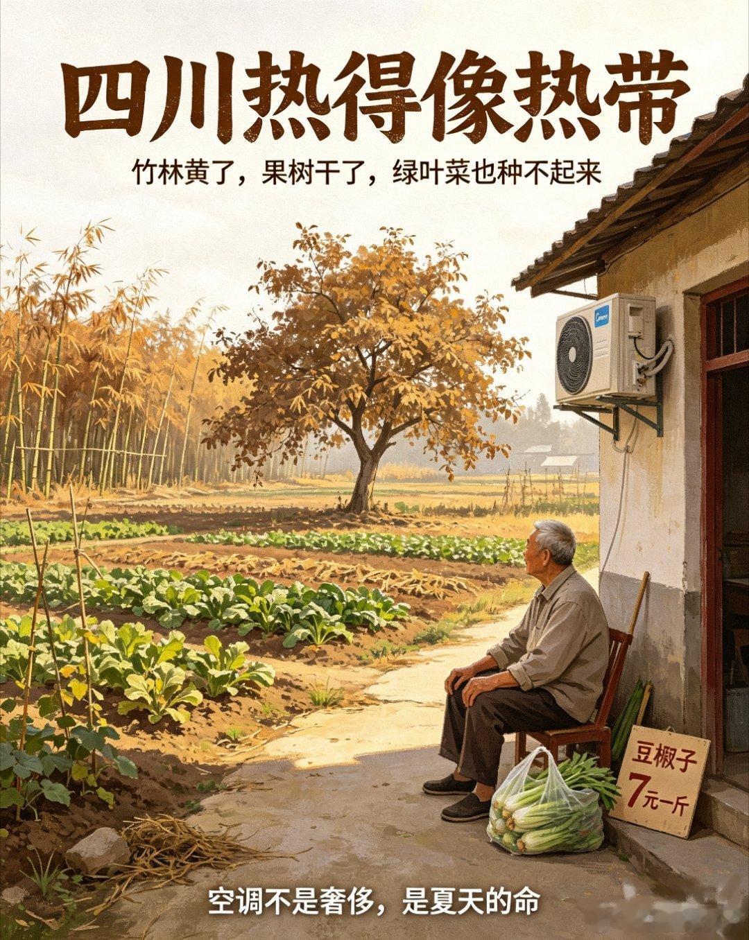 四川现在真的热得跟热带一样了老家的竹林都热黄了，还有很大根的果树热死我妈老闺蜜跟