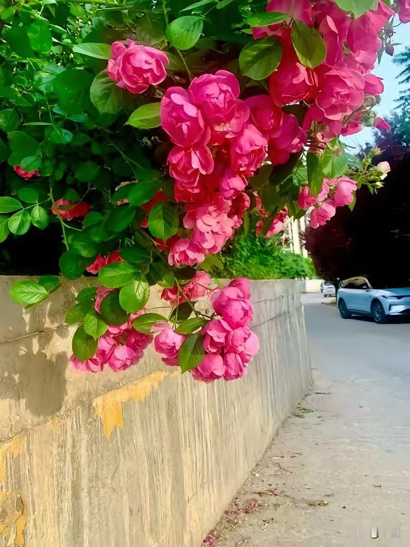 总忍不住刷手机买东西？试试这个解压又赚钱的新法子！

以前抱着手机刷直播，总忍不