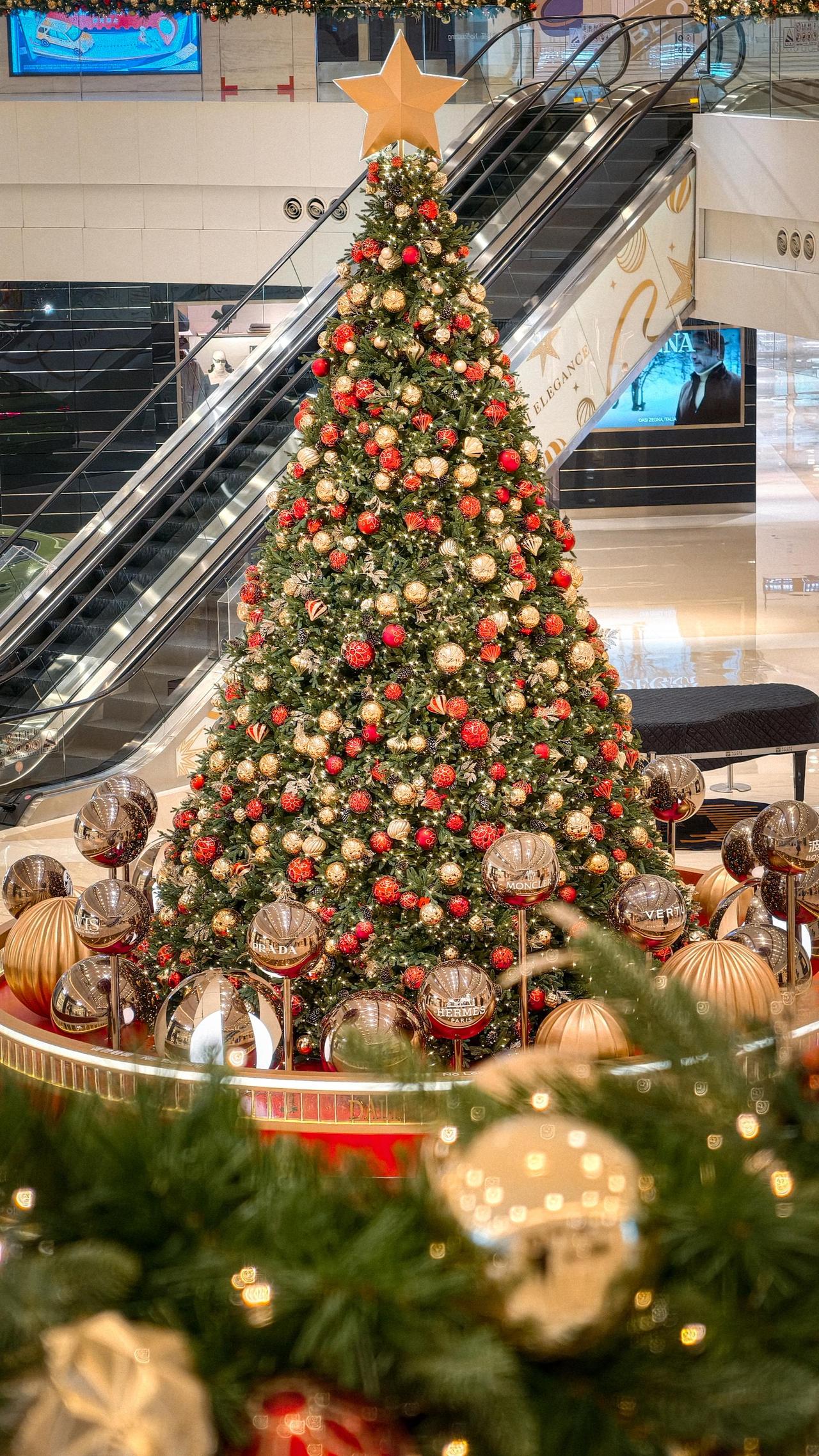 🎄大连这几棵圣诞树真的好看🎄

 大连 圣诞树