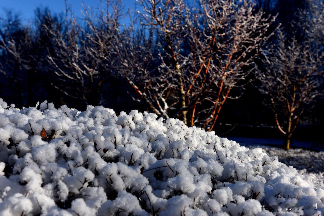 南湖公园四季掠影（六）
冬季景色：