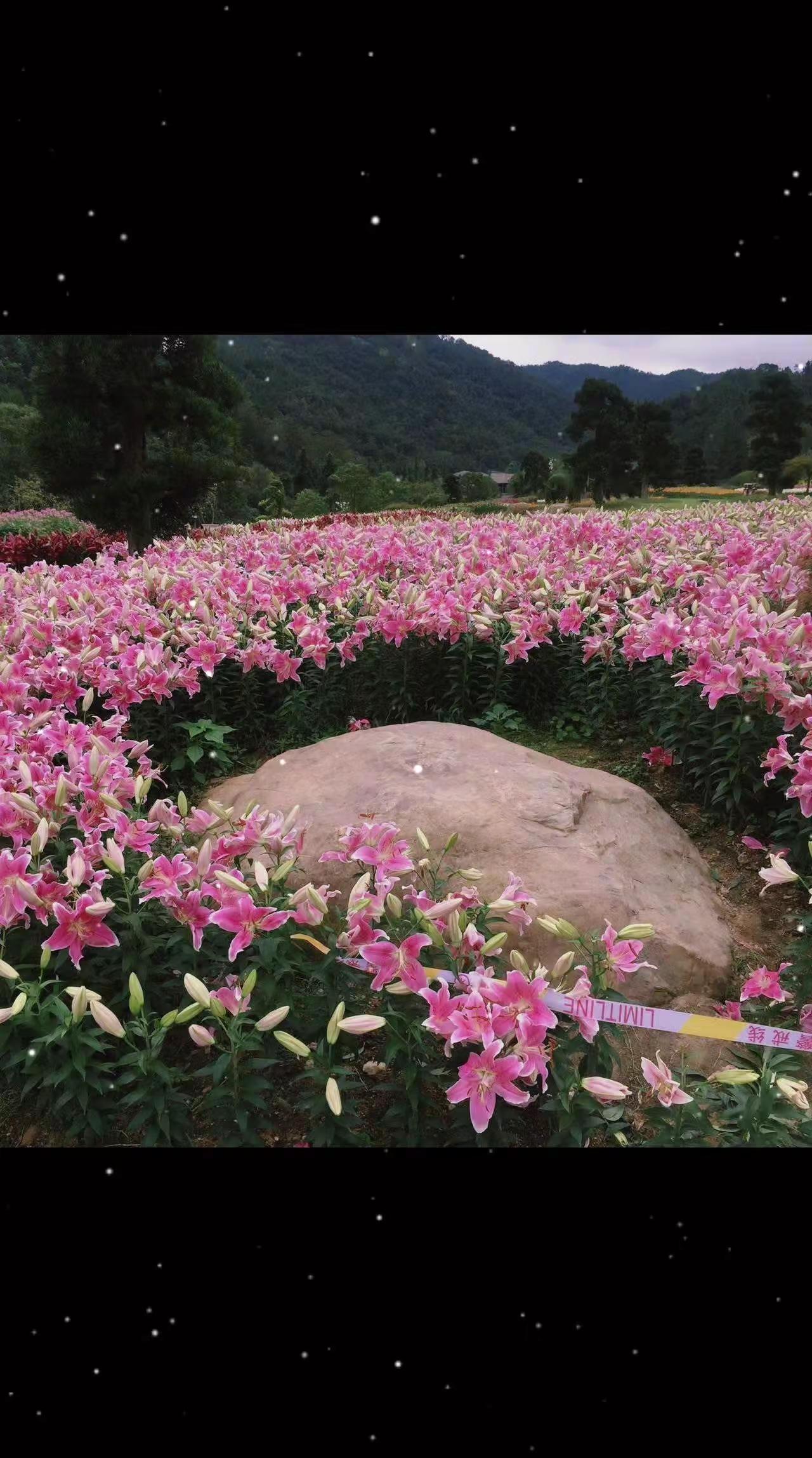 就比如男人深情告白，我是真的很爱你，那就当他是爱你的就可以，不需要追究他爱的细节