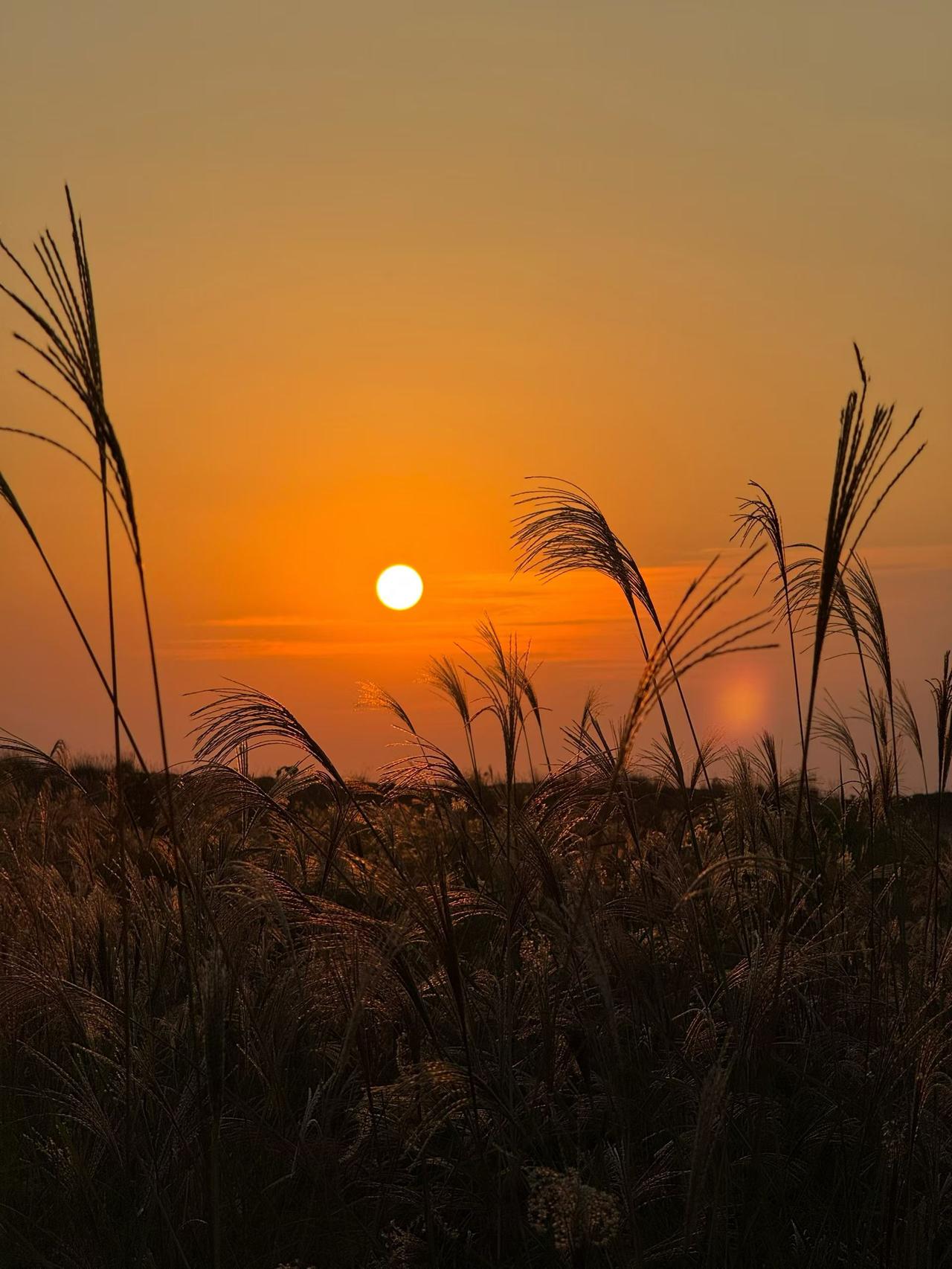 高三儿子说要上战场，这位妈妈的回答让我破防了
 
今天看到一个妈妈的分享，真的让