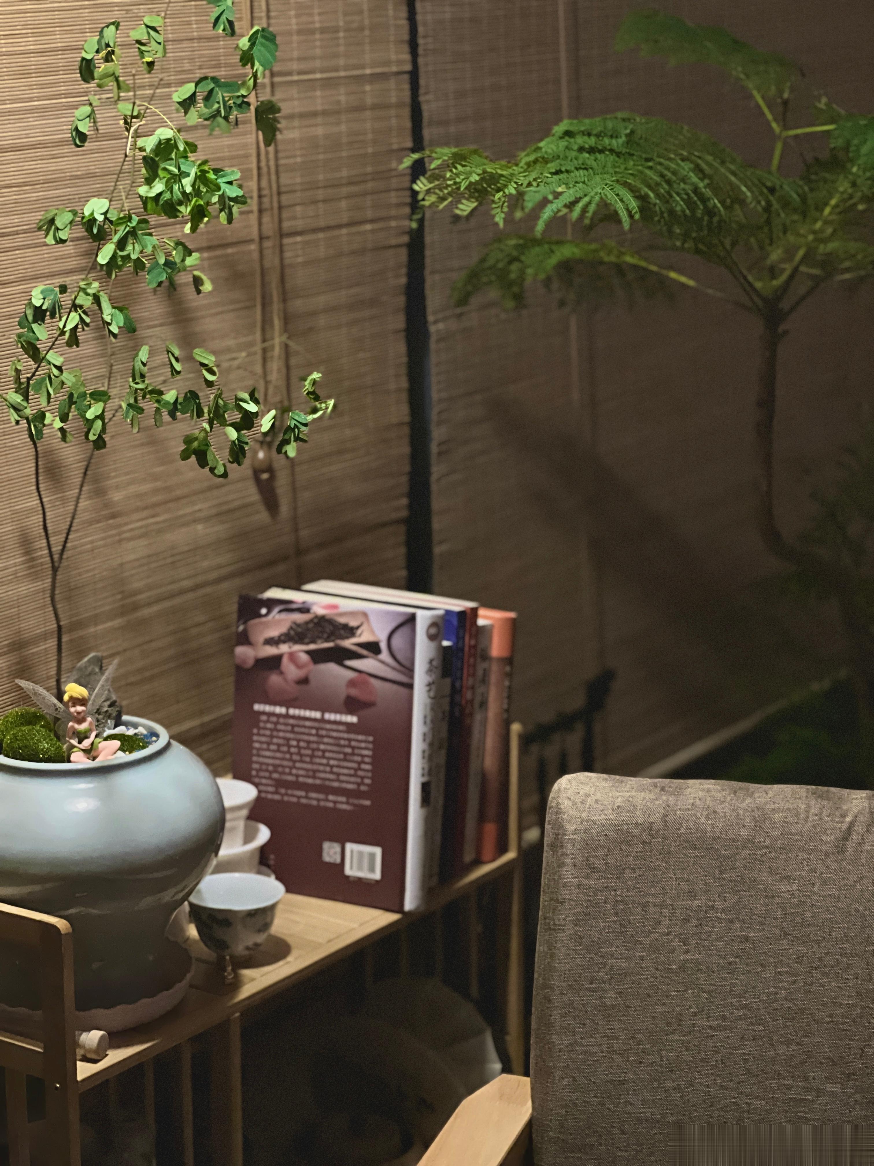 人间没有单纯的快乐，快乐总是夹杂着烦恼和忧虑。#茶[超话]##日常[超话]#  