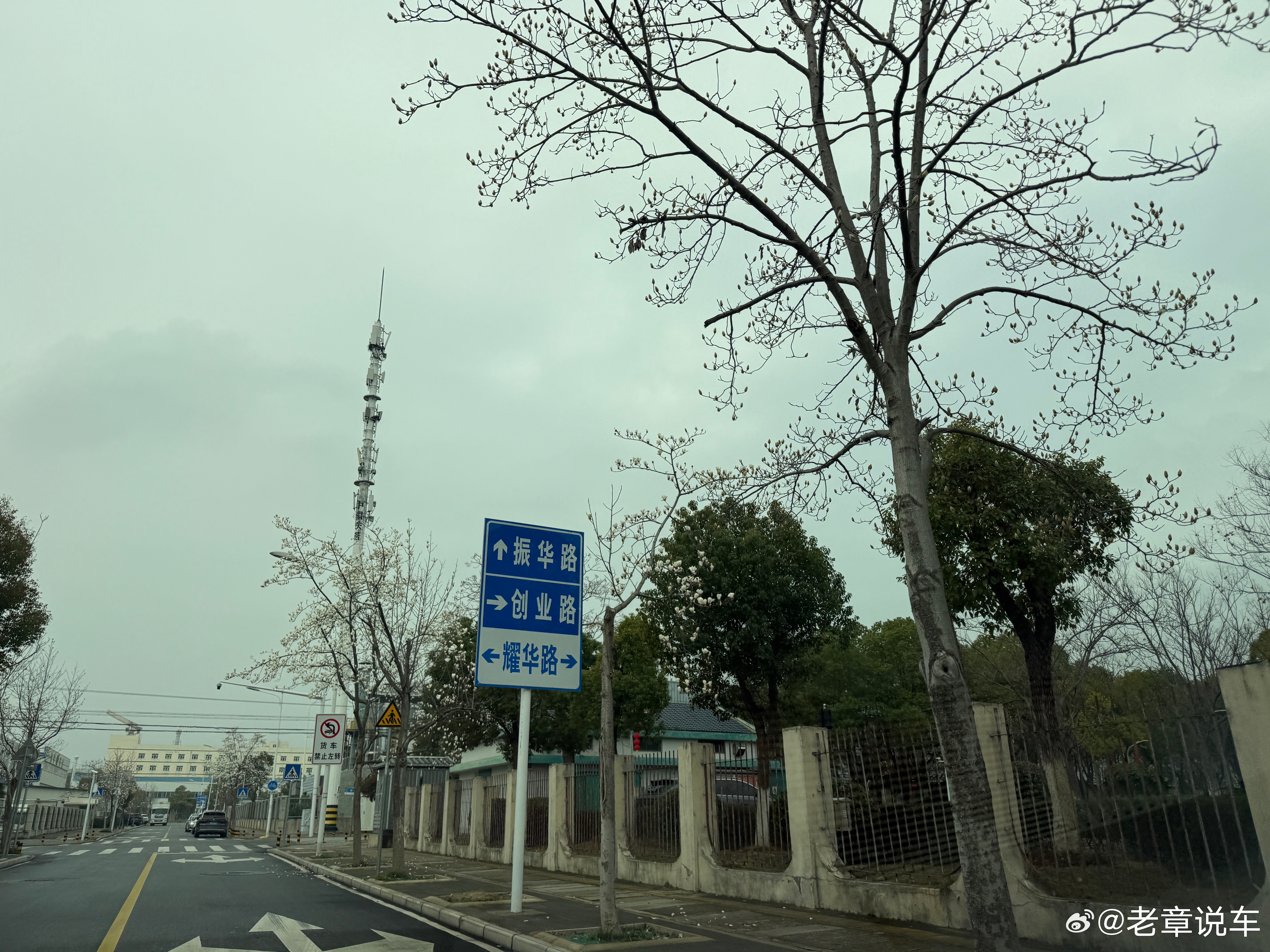 春已至，花已开！创业的路上鲜花相伴！ 