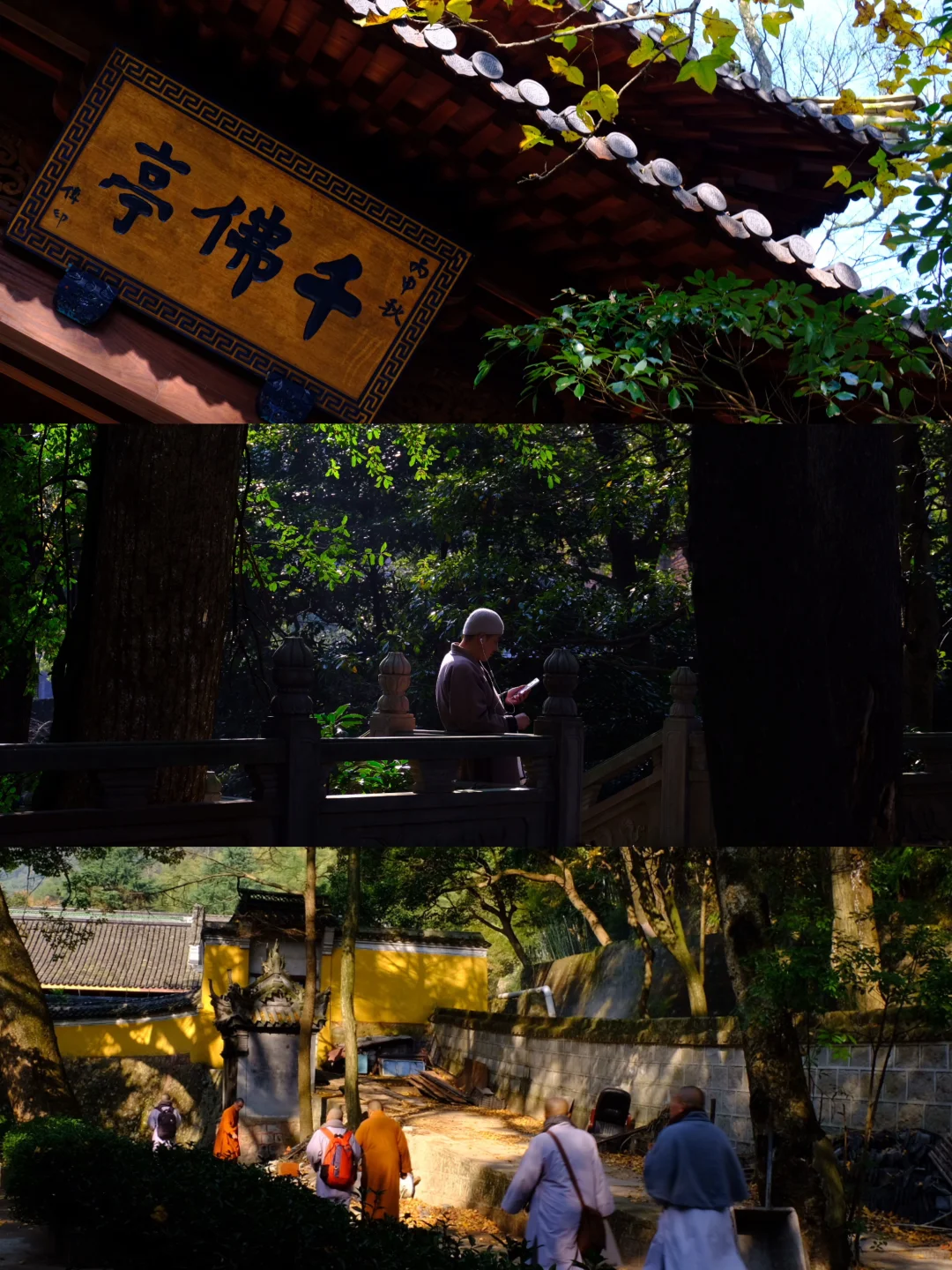 再过一个月的宁波天童寺将变成这样…