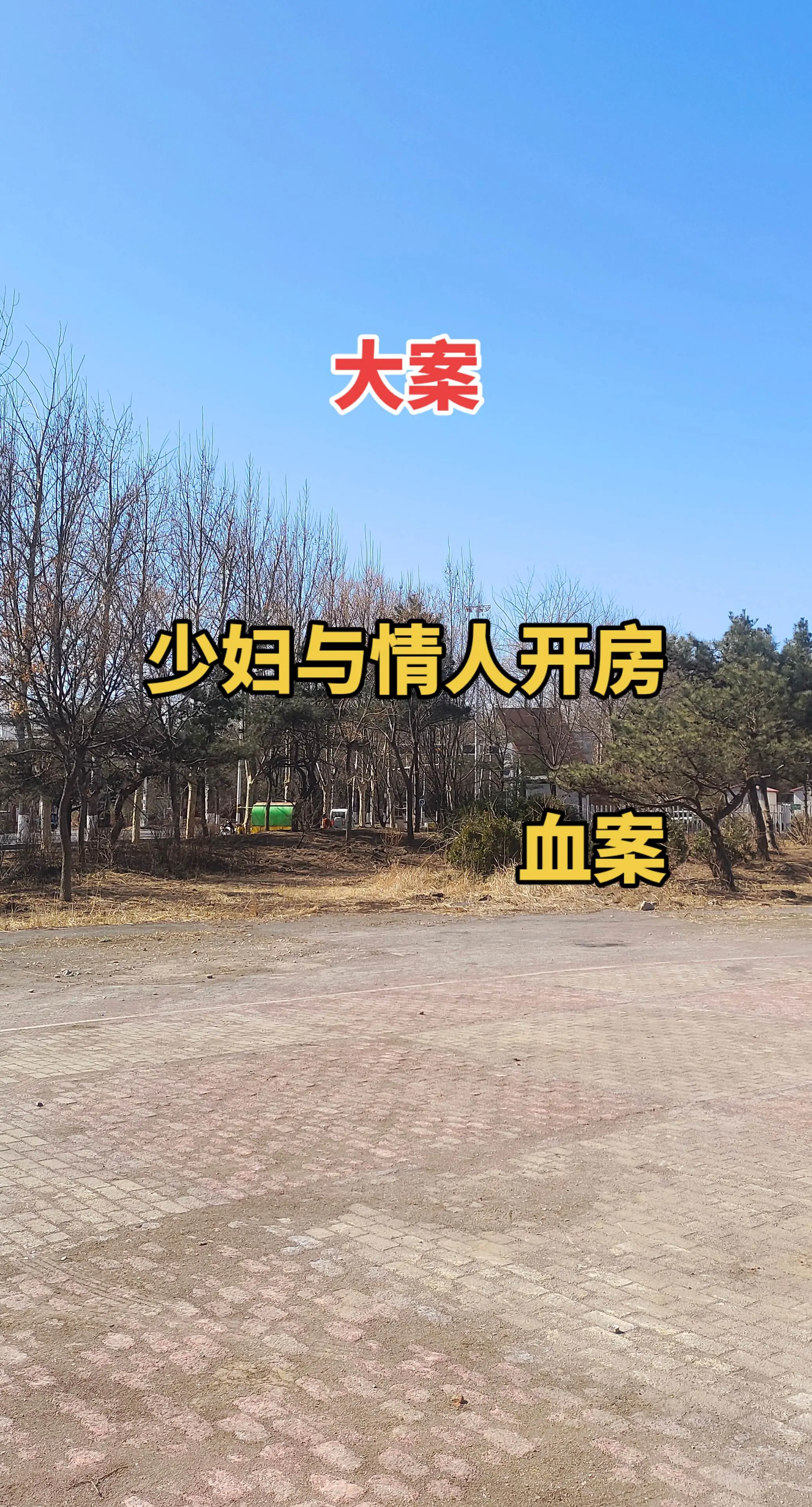 解说