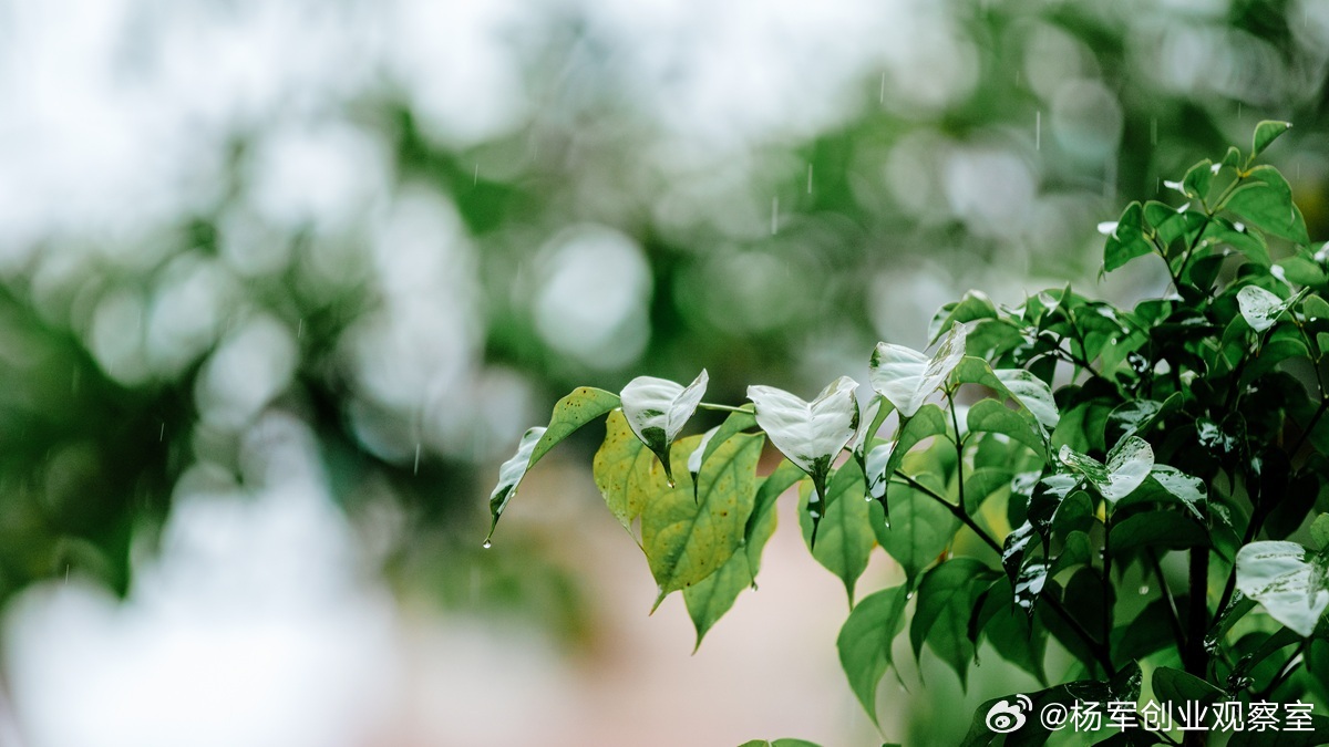 【公司清算：责任是“有限责任”的终结，更是股东责任的开始】公司清算，绝不仅是程序