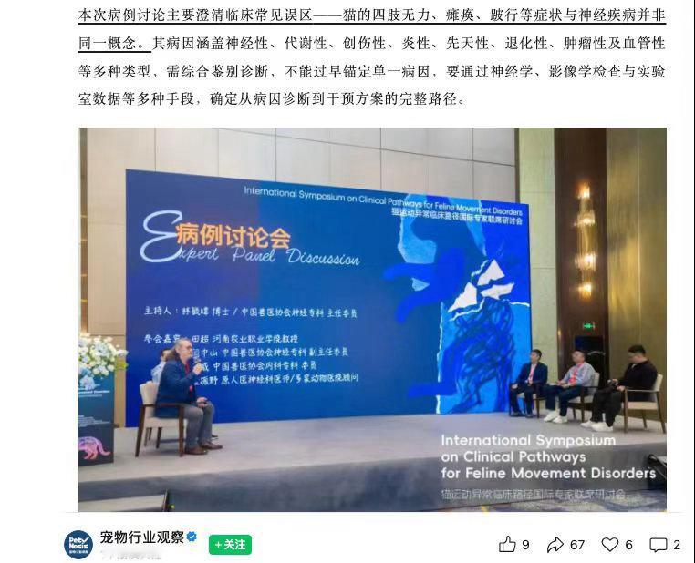 千猫瘫痪多地医院真相调查 全球兽医都头疼的猫咪运动障碍难题，被网上简化成单一猫粮