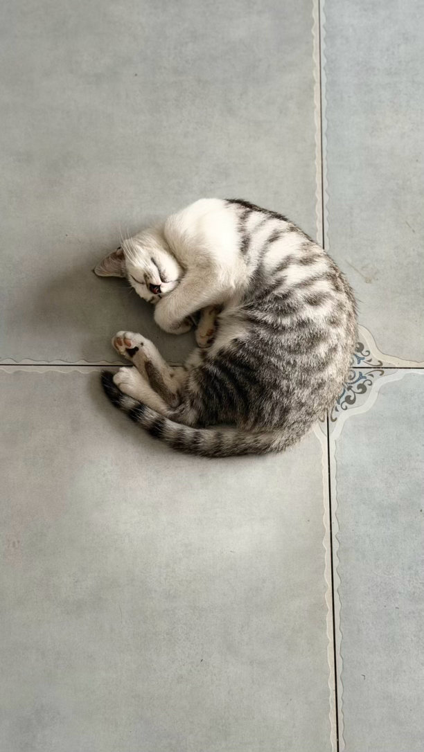 这姿势可太诱人了 