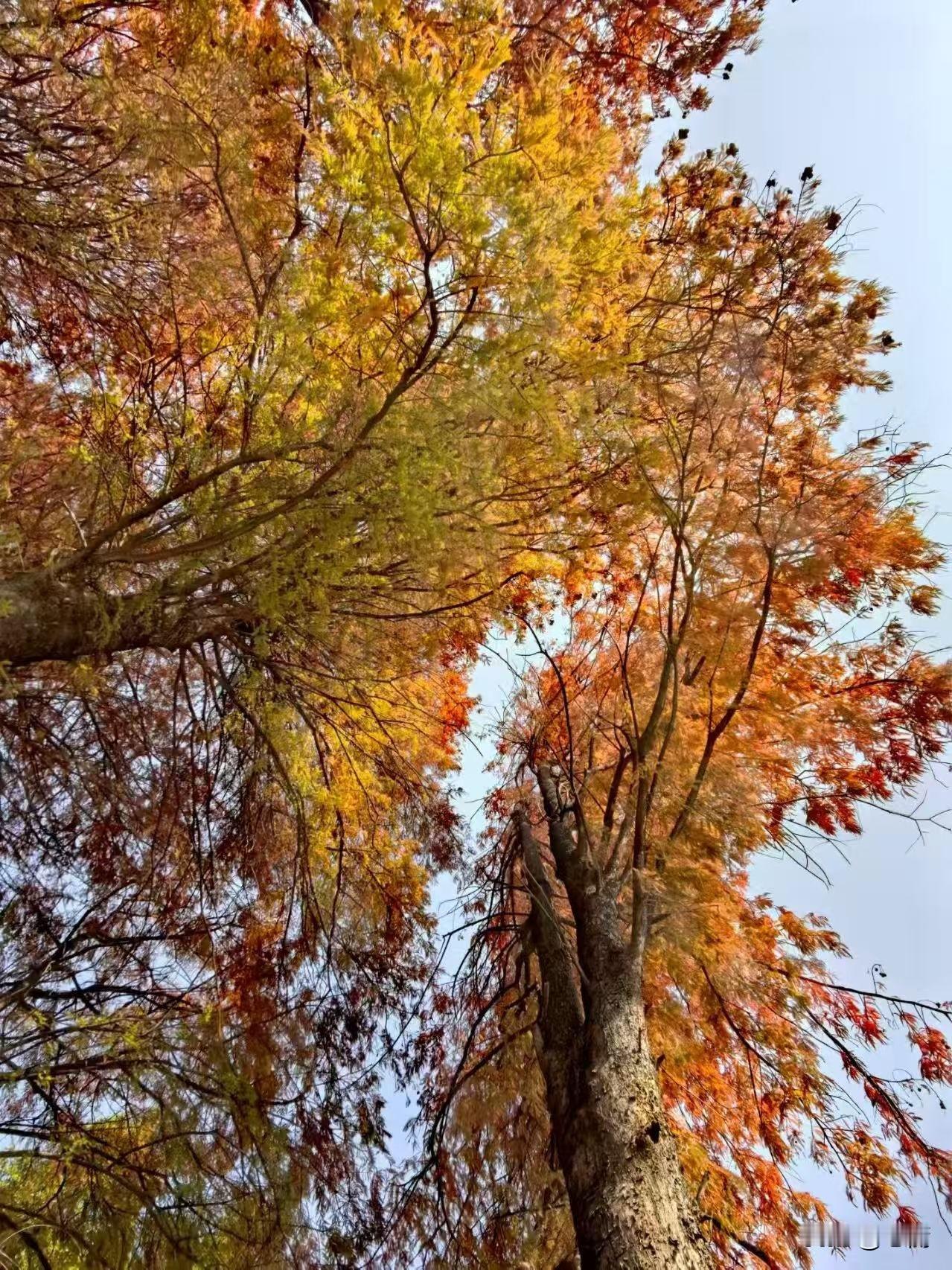 你驾驭不住的东西，才会显相。情绪驾驭不住，则怒气挂相。财富驾驭不住，则铜臭外露。