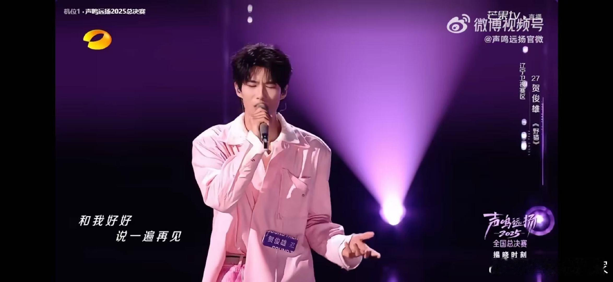 当《野猫》的尾奏渐弱，仿佛看见贺俊雄站在光的尽头，把故事唱成未完的续章。 