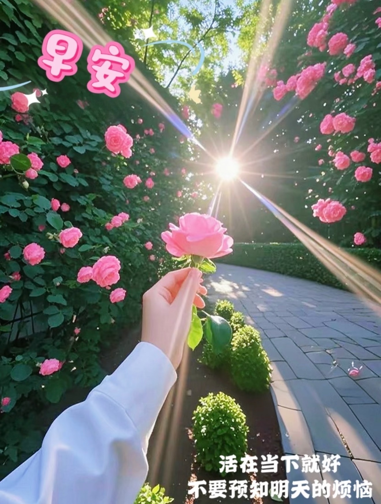 人生最好的状态既可以仰望星空也能脚踏实地🏃今天也要好好生活呀✌️ 早安