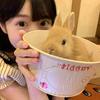 肉肉不胖