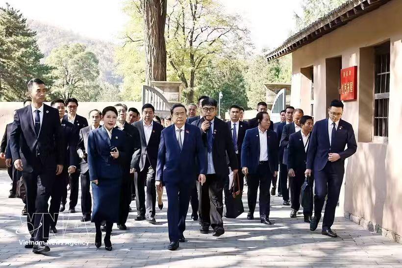 一段跨国往事！10月14日，陈青敏和越南高级代表团参观枣园。

很多人看新闻，以