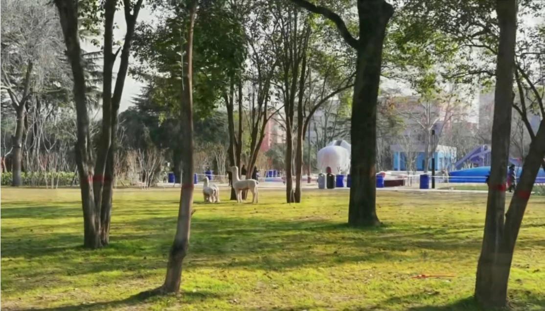 愿这春日里的每一次奔赴，都成为记忆里闪光的碎片，在往后的岁月中，随时可取出来，温