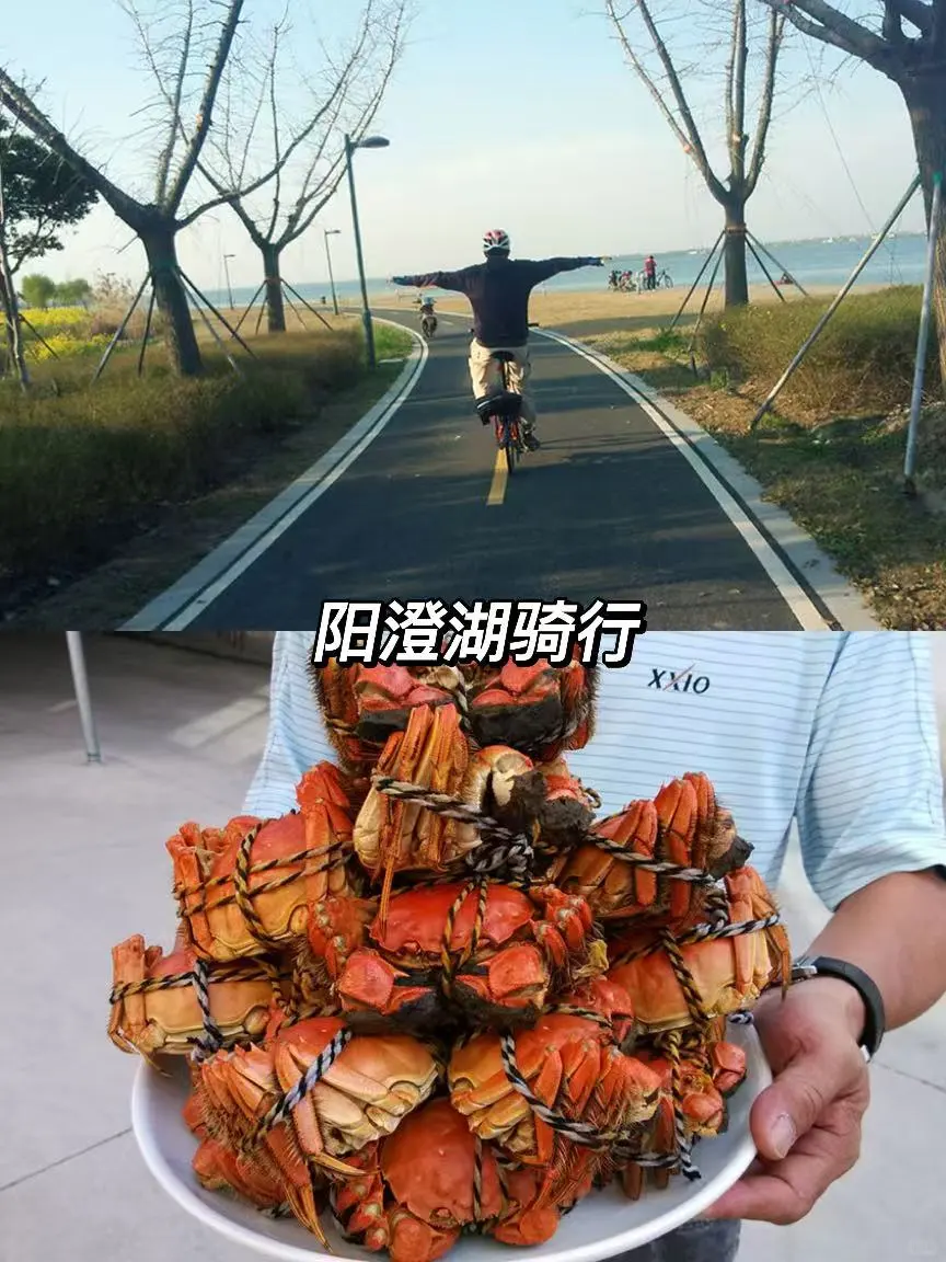 看红杉林吃大闸蟹🦀赏秋必来的5条骑行线‼️