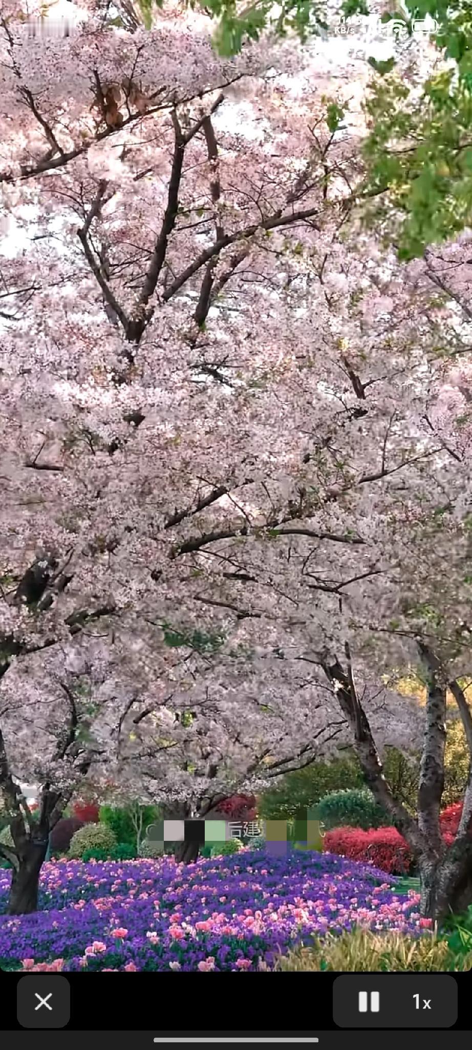 4.17周五收盘点评｜创指新高遇高8，CPO领涨，周末轻仓最稳
 
今日A股结构