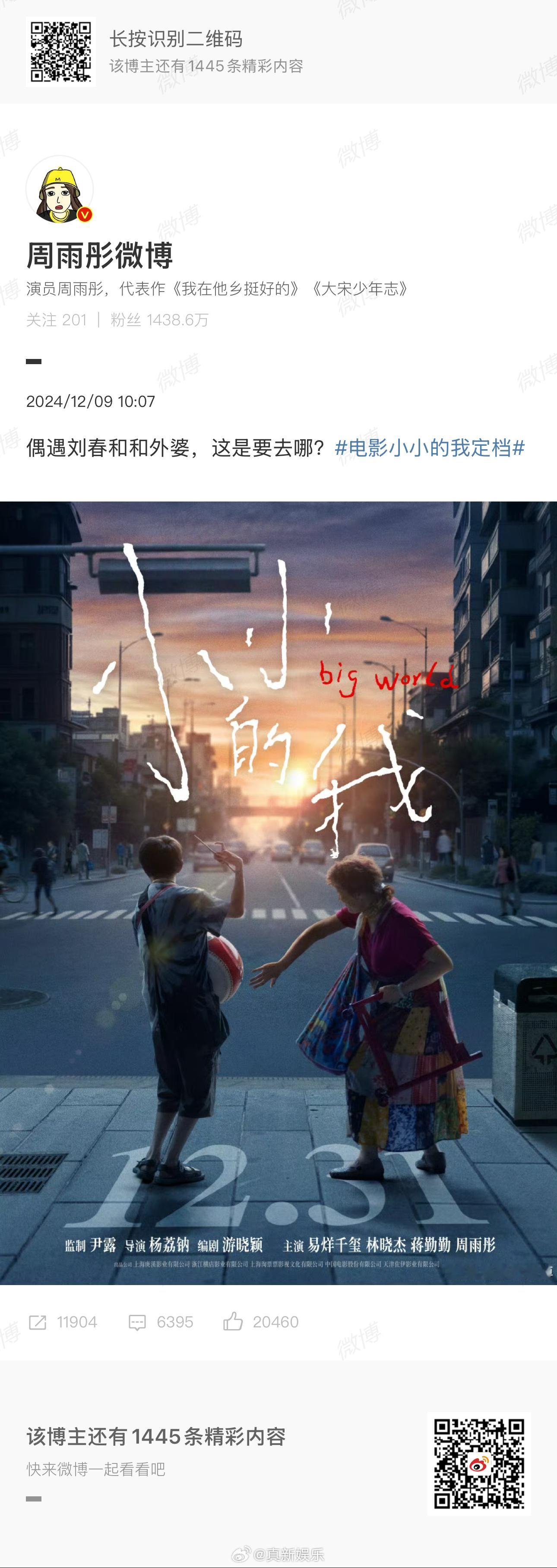 小小的我  定档海报，引发网友热议。由易烊千玺主演的电影《小小的我》12月31日