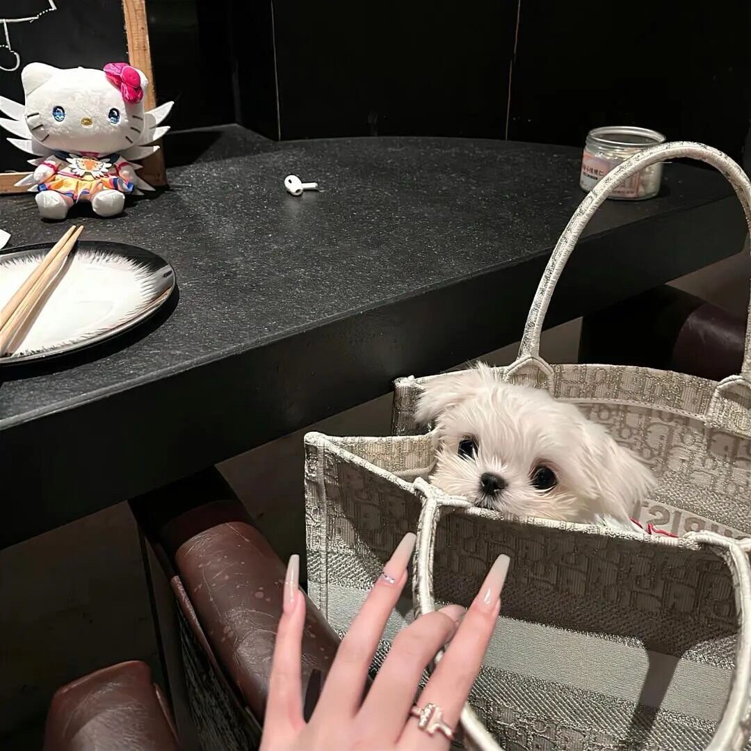 🌻𖤣𖥧⸝⸝𝕪𝕖𝕖𝕖ʺ̤𓈈💭📷🌷𝗪𝗮𝗿𝗺 𝗵𝗲?