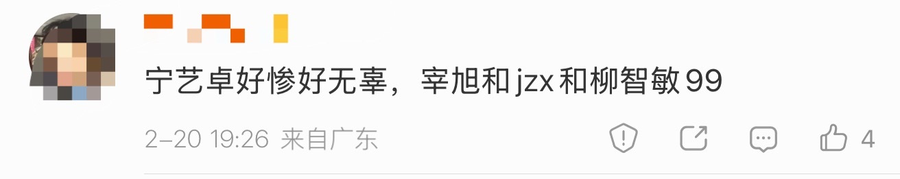 飒飒飒宁艺卓粉丝安利金智秀和柳智敏中 