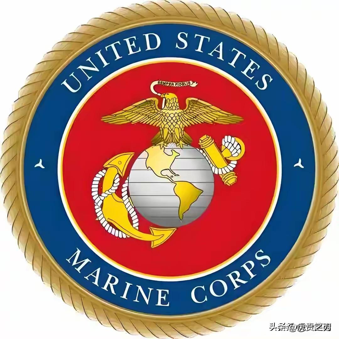 五大军种齐上阵，吓唬谁？吓唬的是自己人，骗的是全世界，被搞急眼了吧？内坦尼亚胡说