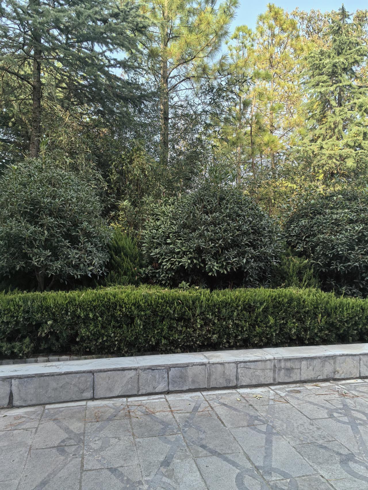 想转业部队不让走，就一个直混日子，不要求提拔，一心想走，混了十年，也是个人才！[