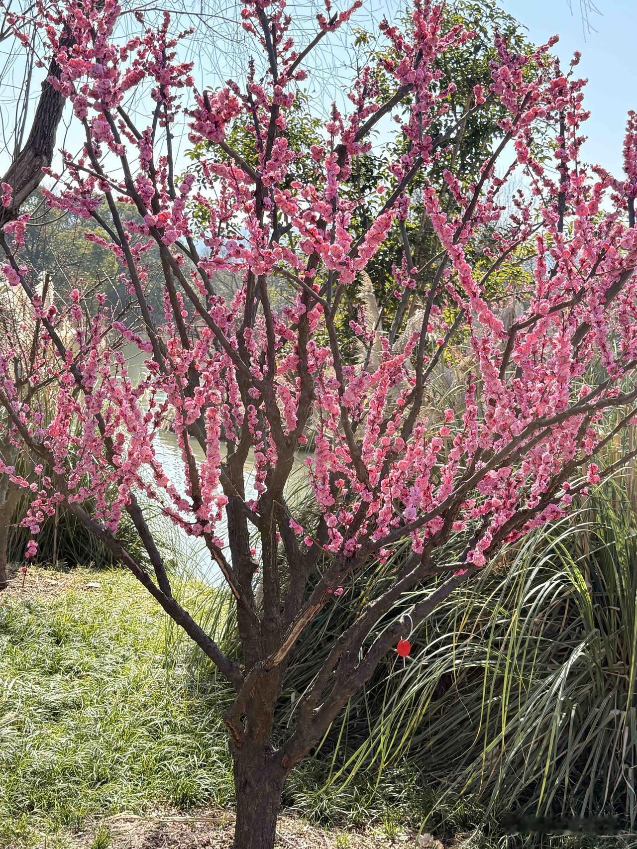 你有没有过这种困惑：同样是每天工作8小时，有人月入几千，有人年薪百万？同样是攒钱