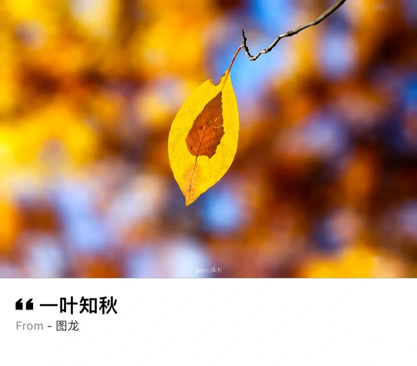 秋天是自带诗意的，平仄着光阴里每一页诗行