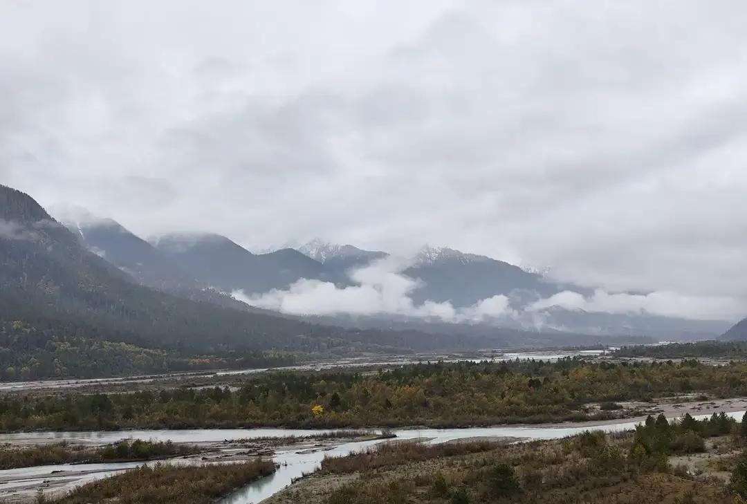 王曼昱刚在澳门世界杯连赢两场，品牌动作比球速还快。

48小时里两家运动饮料官宣