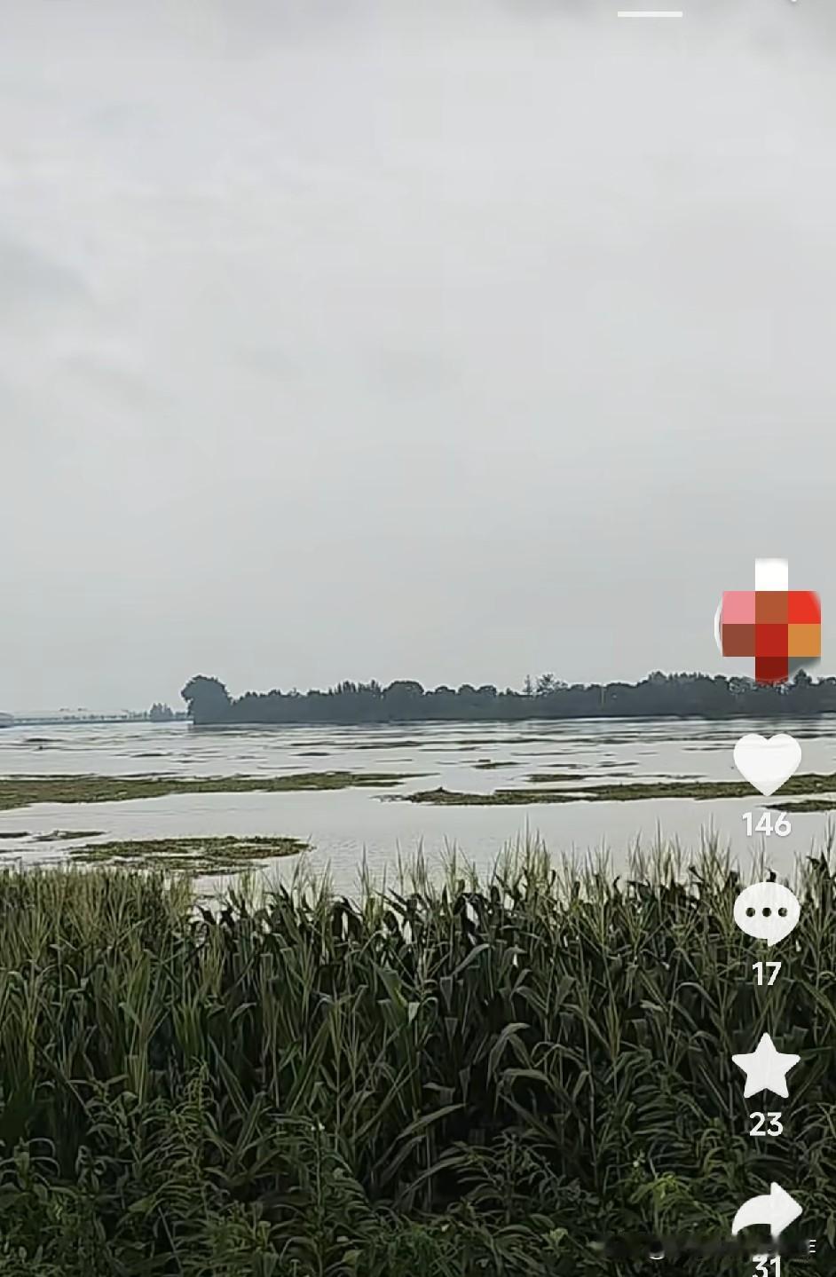 我的老家河里涨水了，河滩里的庄稼全淹了，亲家村里的张婶家，在河滩里种了十几亩花生
