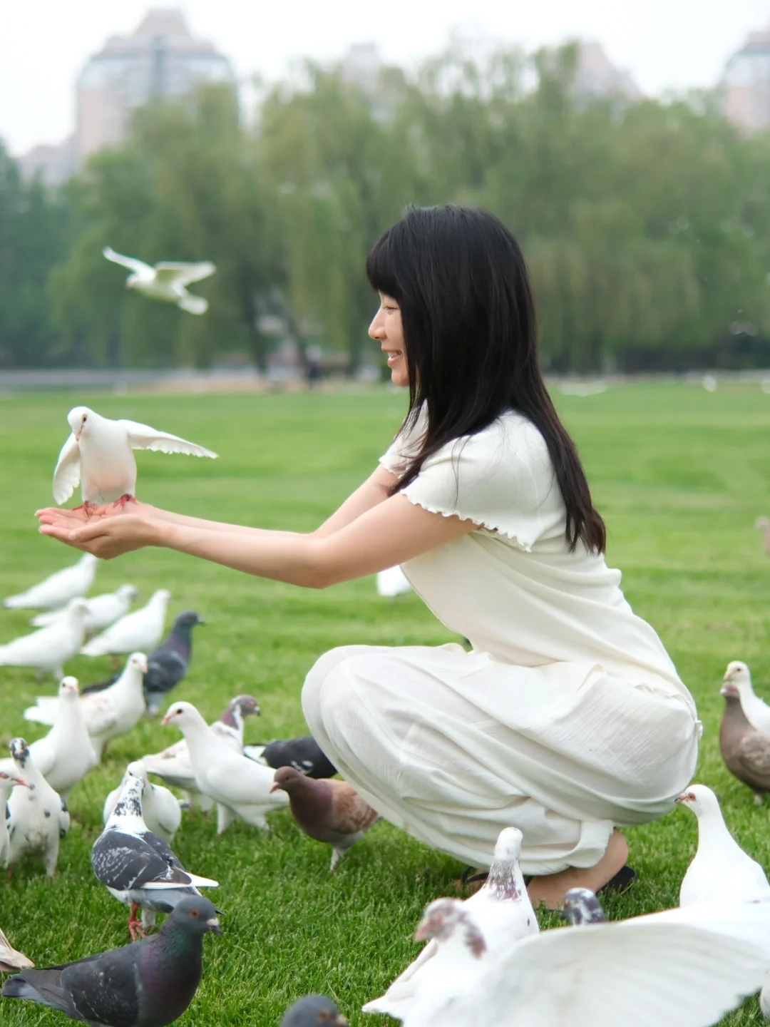 在大自然中汲取身心能量🍃🦢