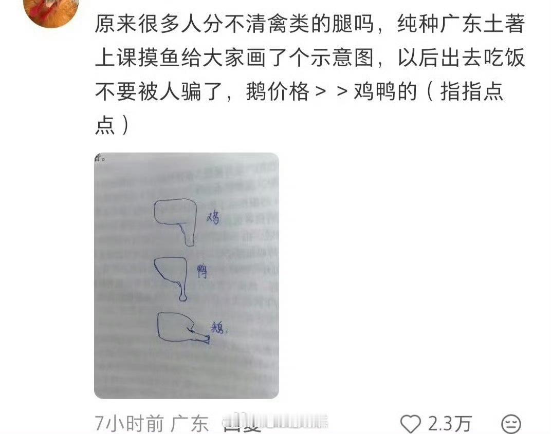 广东烧鹅真的是鹅教大家如何区分鸭和鹅相比鸡鸭，鹅的价格是最高的便宜好难吃到真的鹅