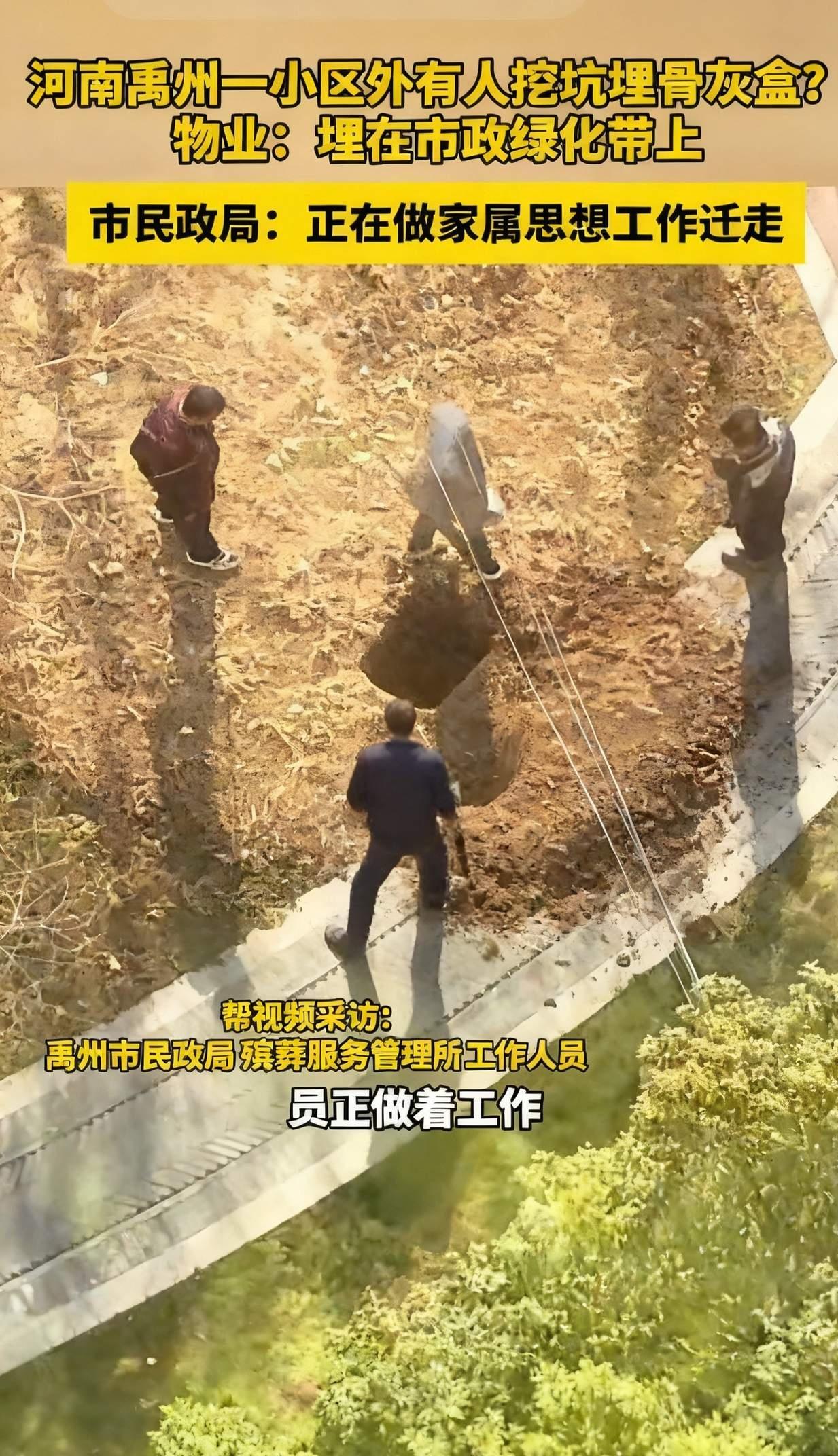 河南这事儿太魔幻了！小区门口的市政绿化带，居然被人悄悄埋了骨灰盒，业主们散步时得