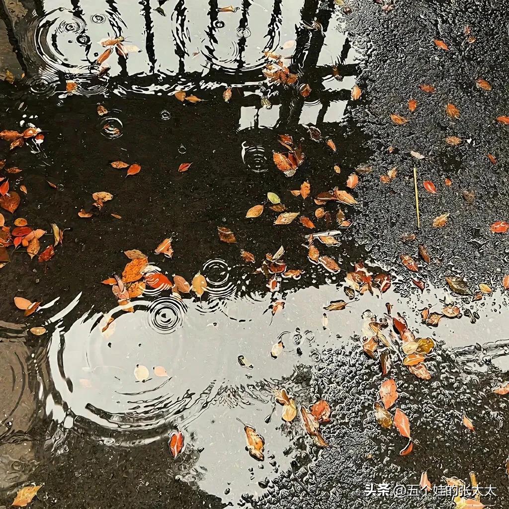 落叶飘零雨纷纷，行人匆匆过街头。
