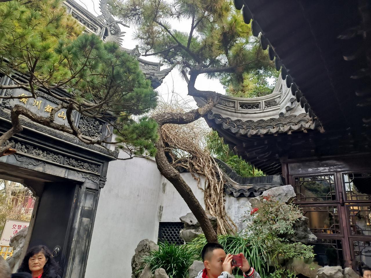 朱家角有什么好玩的地方❓上海朱家角我第一次是跟随居委志愿者队伍大客车直放。那时是